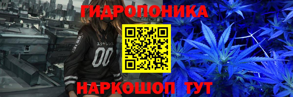 Каннабис индика Ноябрьск